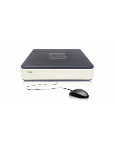 BestNVR-400. IP-видеосервер 4-канальный. BestDVR в Рубцовске