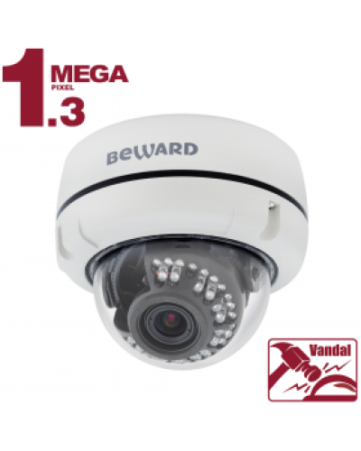 B1510DV. Видеокамера IP купольная. Beward в Рубцовске