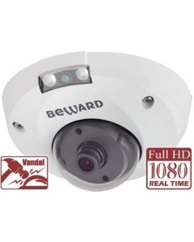 NK55630D8. IP-камера купольная. Beward в Рубцовске