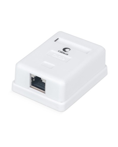 WS-8P8C-Cat.5e-SH-1 (7485c): Розетка RJ-45 в Рубцовске