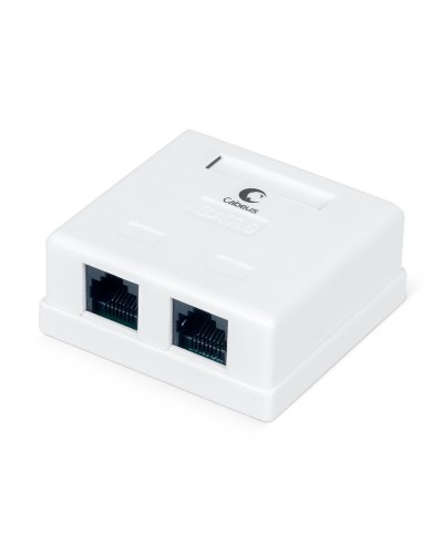 WS-8P8C-Cat.6-2 (7482c): Розетка RJ-45 в Рубцовске