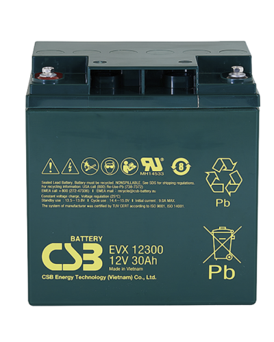 CSB EVX 12300. Аккумулятор герметичный свинцово-кислотный. CSB в Рубцовске