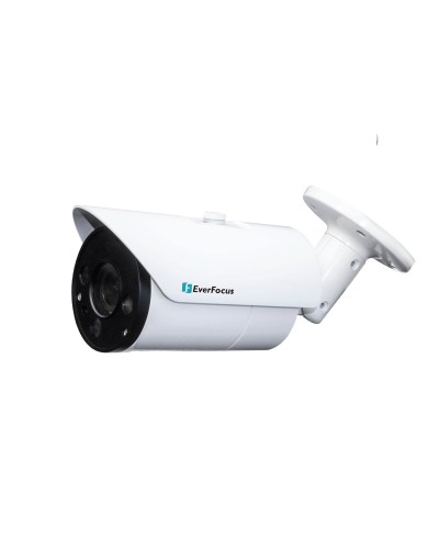 EZN-268V. Видеокамера IP купольная. EverFocus в Рубцовске