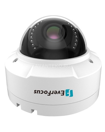 EHN-1250. Видеокамера IP купольная. EverFocus в Рубцовске