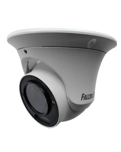 FE-IPC-DV5-40pa. Видеокамера IP купольная. Falcon EYE в Рубцовске