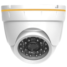 GF-IPVIR4306MP2.0 v2. Видеокамера IP купольная. Giraffe