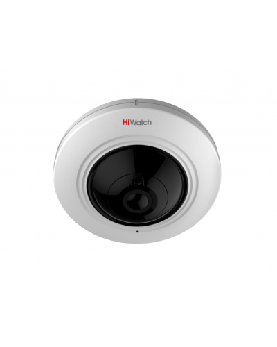 DS-I351. Бюджетная IP-видеокамера купольная. HiWatch в Рубцовске
