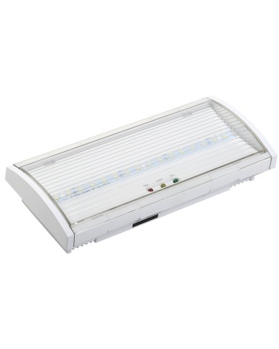 Светильник аварийный ДПА 5040-1 1ч IP54 LIGHTING (LDPA0-5040-1H-K01). Светильник аварийный постоянного действия. IEK в Рубцовске