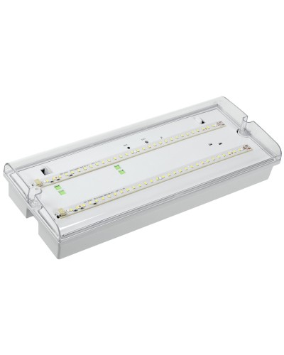 Светильник аварийный ДПА 5042-1 1ч IP65 LIGHTING (LDPA0-5042-1-65-K01). Светильник аварийный универсальный. IEK в Рубцовске