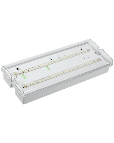Светильник аварийный ДПА 5042-3 3ч IP65 LIGHTING (LDPA0-5042-3-65-K01). Светильник аварийный универсальный. IEK в Рубцовске