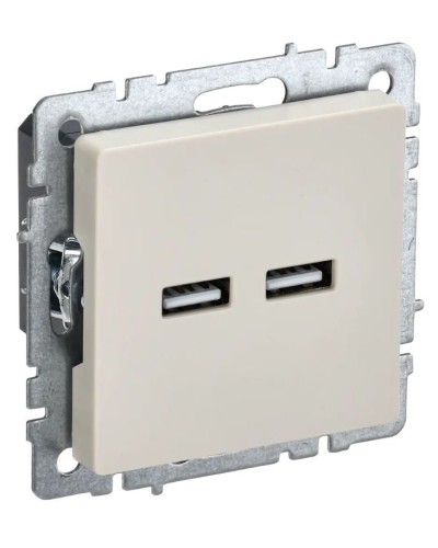 Розетка USB A+A 3,1А РЮ10-1-БрКр бежевый BRITE (BR-U21-D31-K10). Розетка USB. IEK в Рубцовске