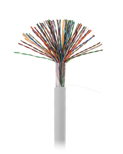 U/UTP 50pair, Cat5, In, PVC (EC-UU050-5-PVC-GY-3). Кабель «витая пара» (LAN) для структурированных систем связи. NETLAN в Рубцовске