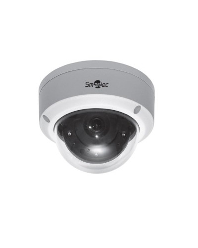 STC-IPMA5520A/1. Видеокамера IP купольная. Smartec в Рубцовске