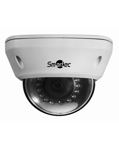 STC-IPM5591/1. Видеокамера IP купольная. Smartec в Рубцовске