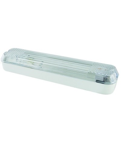 ДПБ 01-2х6-001 12 Вт, LED, 1000 лм, 4000 К, IP40. Светильник вандалоустойчивый . TDM ЕLECTRIC в Рубцовске