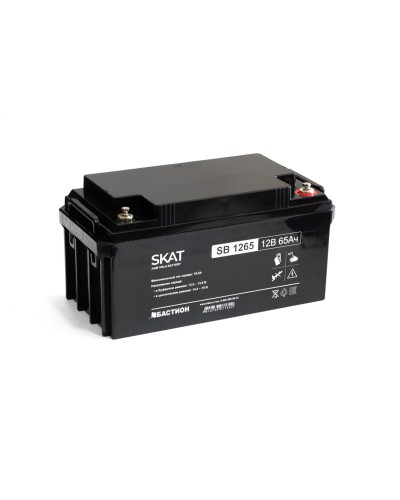 SKAT SB 1265 (2541). Аккумулятор герметичный свинцово-кислотный. Бастион в Рубцовске