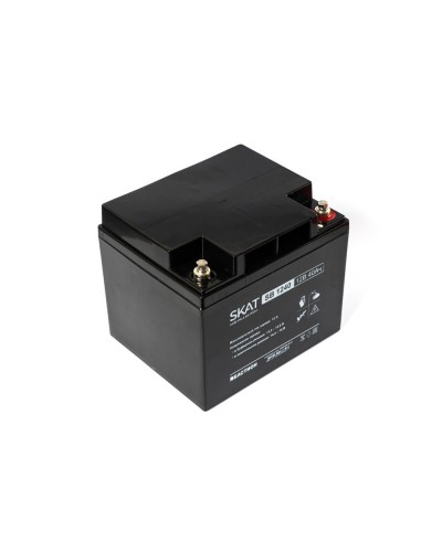 SKAT SB 1240 (2538). Аккумулятор герметичный свинцово-кислотный. Бастион в Рубцовске