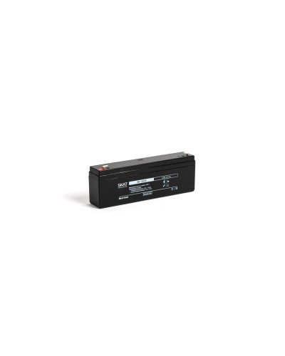 SKAT SB 12022 (2539). Аккумулятор герметичный свинцово-кислотный. Бастион в Рубцовске