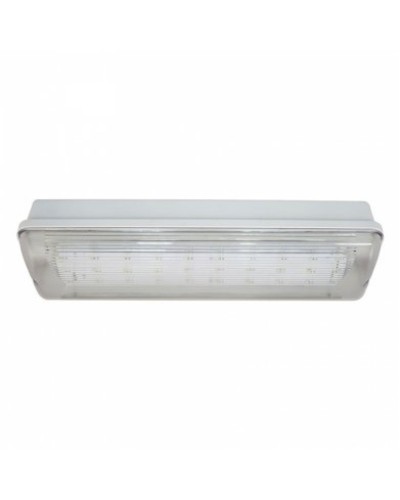 SL-223-30LED1.8 исп.1 IP54. Светильник аварийного освещения. ИП Раченков А.В. в Рубцовске