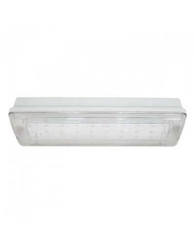 SL-223-30LED1.8 исп. 1, IP65. Светильник аварийного освещения. ИП Раченков А.В. в Рубцовске